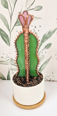 Image 2 of Stained Glass Cactus in Ceramic pot