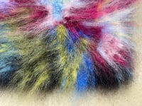 Image 5 of Kolbia elegans