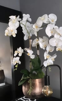 Image 2 of BRONZE COLLECTION - Tall bronze cylinder with real touch orchids 