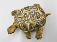 Image 5 of On a quest for harmony- Julie Kradel