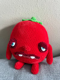 Tomato 