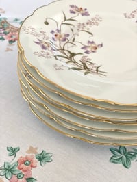 Image 3 of Assiettes aux clématites x7