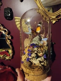 Cork Terrarium 
