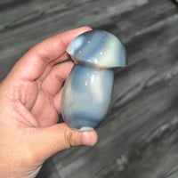 Image 1 of Orca Agate Mushroom B