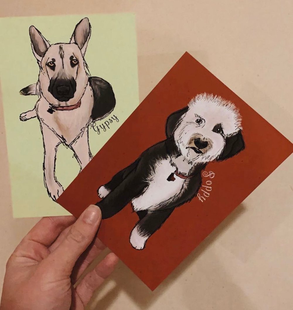Image of Pet Portraits