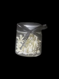 Image 1 of cane toad large bones jar