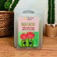 Baja Cactus