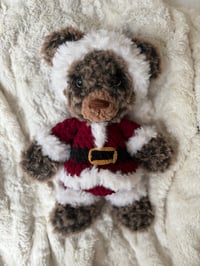 Image 2 of Cocoa Bear - RTS
