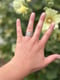 Image of Classic Scroll Ring