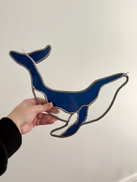 Image 2 of Whale