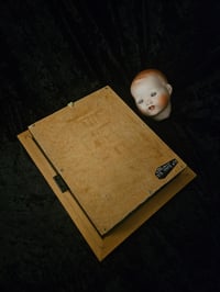 Image 11 of Statement "Lullaby"  1897 Taxiderny orbweaver Spider & Preserved Web