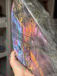 Image 17 of XXL RAINBOW LABRADORITE FREEFORM -MADAGASCAR-