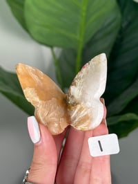 Image 9 of 3D STILBITE X SCOLECITE BUTTERFLY