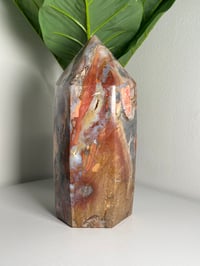 Image 2 of XXL RAINBOW IBIS JASPER TOWER -MADAGASCAR-