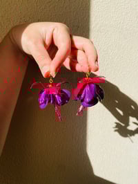 💜♥️Dollar Princess Fuchsias♥️💜