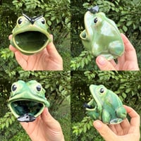 Image 1 of Frogs 