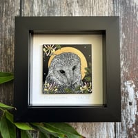 Image 1 of Honeysuckle Owl ~ Framed Mini Original