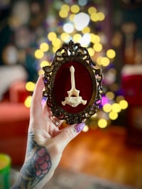 Image 1 of Framed Coyote Vertebrae #1