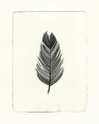 Image of Feather Etching