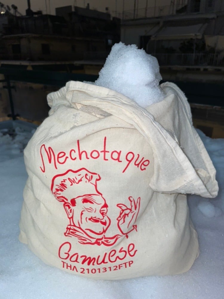 Image of Mechotaque Gamuese -Tote PREORDER