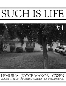 Image of Such Is Life zine #1