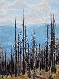 Image 1 of Skeleton Trees - acrylic on wood panel 22.5x32.5in