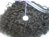 Image of Virgin Brazilian Spring Curly Hair