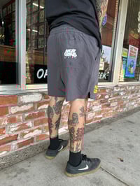 Image 3 of Swim Shorts. Gray. 13 Designs.