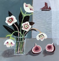 Figs and Hellebores