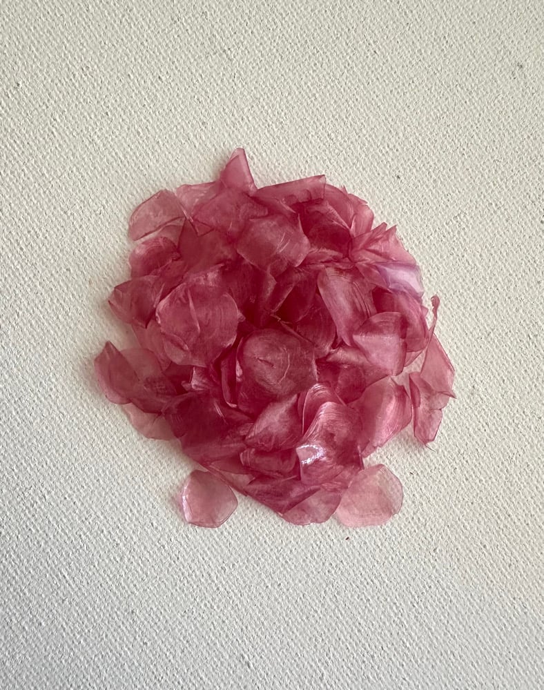 Image of Dyed fish scales - Rose pink