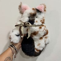 Cathy the Calico Bloog