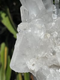 Image 14 of Clear Quartz Points Cluster Statement Piece #2446