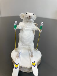 Image 1 of Squeaker Skier – Taxidermy Mouse on Skis