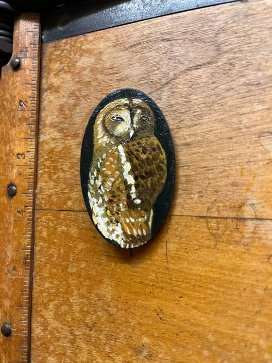 Image of Little owl brooch 