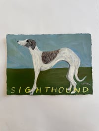 Anxious Sighthound 