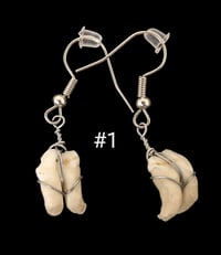 Image 1 of Assorted Small Animal Teeth Earrings