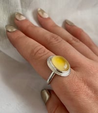 Image 1 of Literal Sunshine 