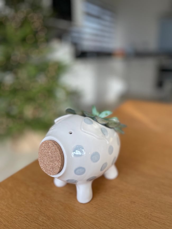 Silver Plant Pot Pig