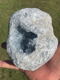 Image 6 of Celestite Geode #1951