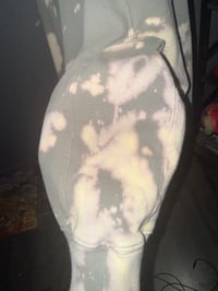 Image 2 of north face
