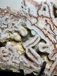 Image 3 of Mexican Lace Agate Statement Piece #2875