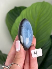 Image 8 of BLUE OPAL SHIVAS