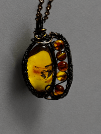 Image 4 of Amber with Beads