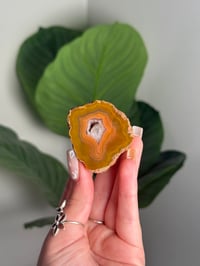 PEACHY YELLOW CONDOR AGATE -ARGENTINA- #21 OTHER HALF