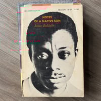Notes of A Native Son