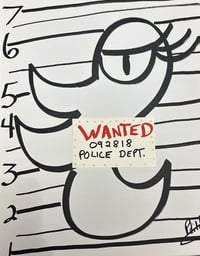 Image 2 of Wanted Duck