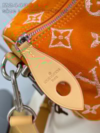 Image 10 of LV Pharrell Velvety Speedy