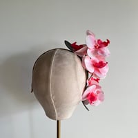 Image 3 of Pink orchids #3   