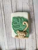 Image 2 of Safari explorer