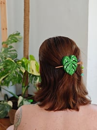 Image 4 of Horquilla Monstera Thai Constellation 